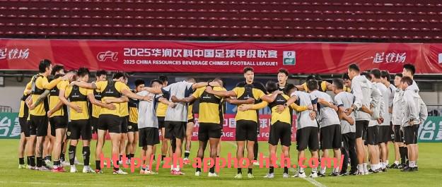 HTH华体会APP下载-法甲赛季冠军争夺走势分析