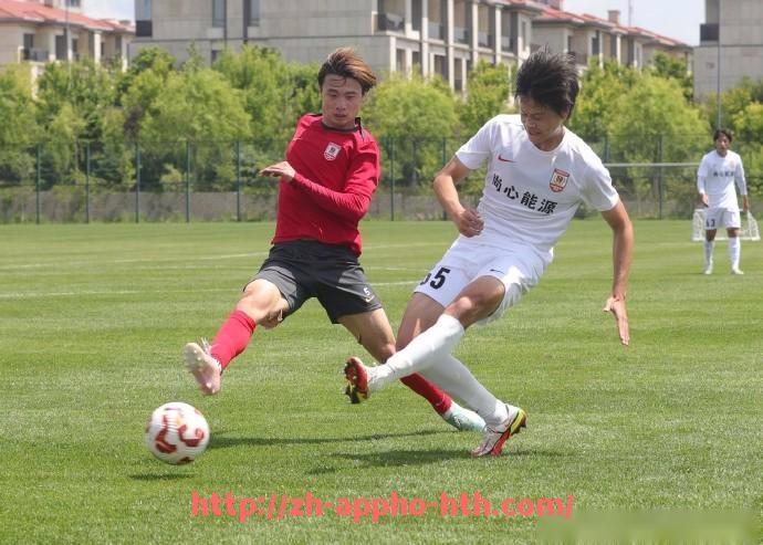 HTH华体会APP下载-意甲球队历史著名球员名单及传奇故事回顾